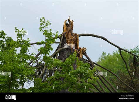 Lightning Hi Res Hi Res Stock Photography And Images Alamy