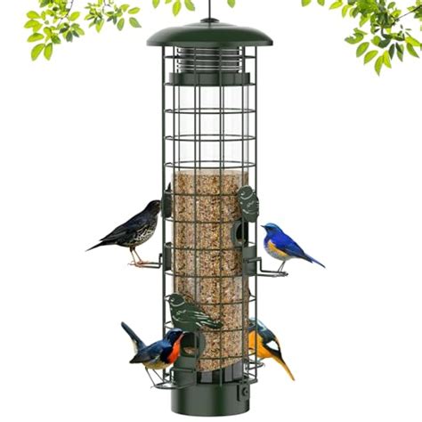 Find The Best Squirrel Proof Bird Feeders Reviews & Comparison - Katynel