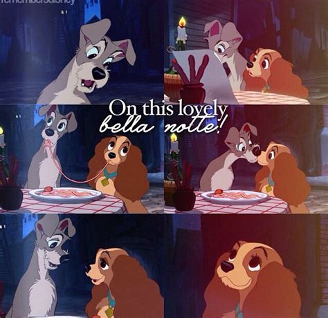 Day 21 Favorite Kiss From Lady And The Tramp This Scene Is So