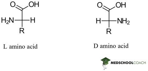 Amino Acid Configuration and Structure – MCAT Biochemistry | MedSchoolCoach