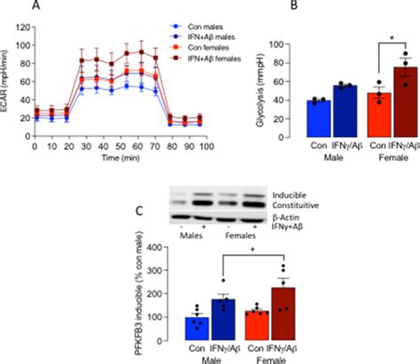 The Effect Of Ifnγ Aβ On Microglia Is Sex Dependent Microglia Download Scientific Diagram