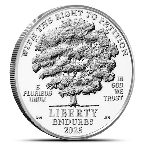 2025 W 1 Oz Proof American Platinum Eagle Coin L Jm Bullion™