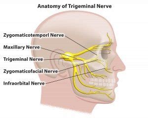 Trigeminal Nerve Pain & Trigeminal Neuralgia Treatment in Brooksville, FL