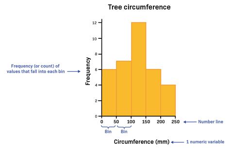 Relative Frequency Histogram Skewed Right