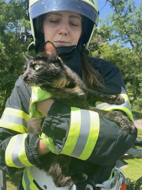 FF Wr. Neustadt: Tierrettungen in Stadt und Land - Wiener Neustadt