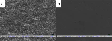 Sem Image Of A Unpolished Silicon Wafer B Polished Silicon Wafer