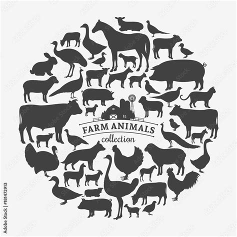 Vector Farm Animals Silhouettes Stock Vector Adobe Stock