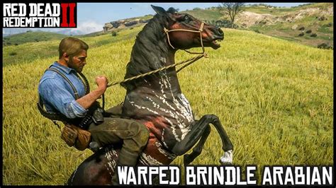 The Warped Brindle Arabian Red Dead Redemption 2 Story Mode Youtube