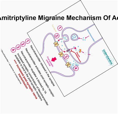 Amitriptyline migraine mechanism of action, amitriptyline migraine ...