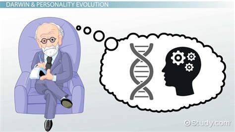 Evolutionary Personality Theory | Definition & Examples - Lesson | Study.com