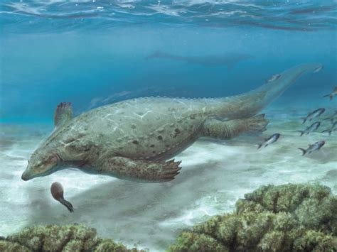 Triassic Armored Marine Reptile Unearthed in China - Fogrooks