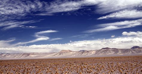 Feasibility studies for a lithium brine mining project in northern Chile