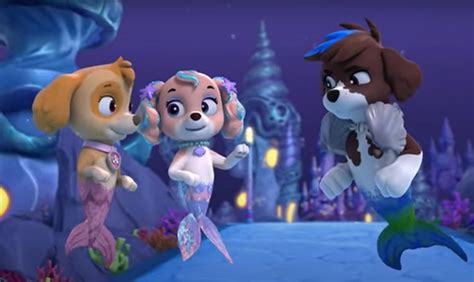 ‘paw Patrol All Paws On Deck Free Live Stream How To Watch Online