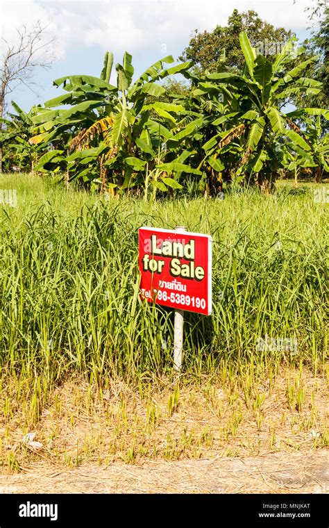 Land for sale sign, Phuket, Thailand Stock Photo - Alamy