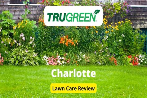 TruGreen Lawn Care In Charlotte Review Lawnstarter