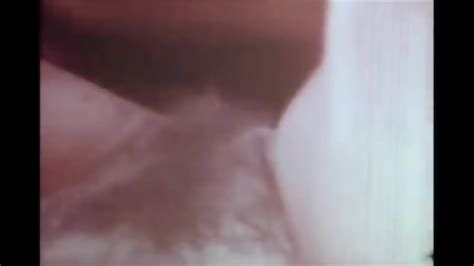 Interracial History Fuck