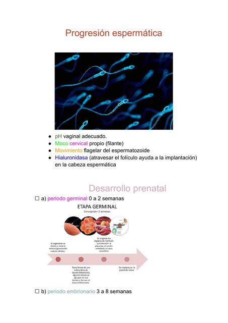 Crecimiento y desarrollo del niño y el adolescente Xalli uDocz