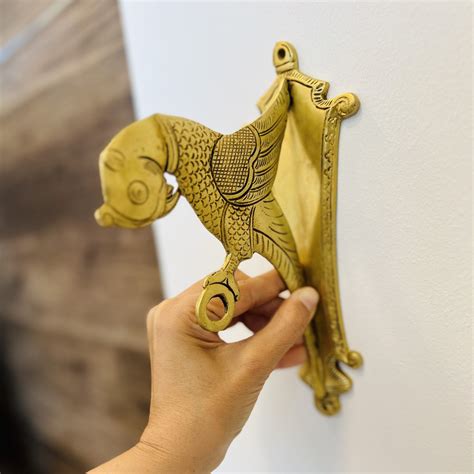 guide to parrot losing weight at home 3