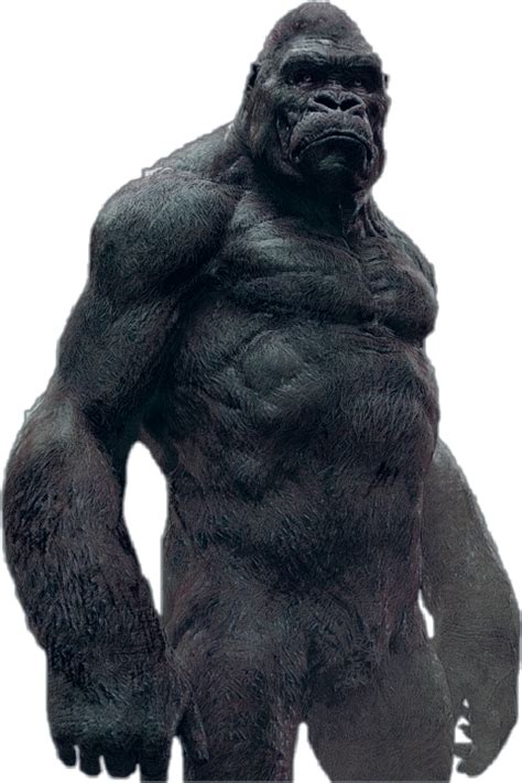 Download Gorilla Png Transparent Png Download Seekpng