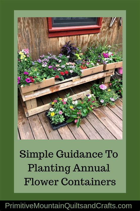 Simple Guidance To Planting Annual Flower Containers