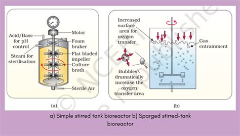 Types Of Bioreactors My Biology Dictionary Off