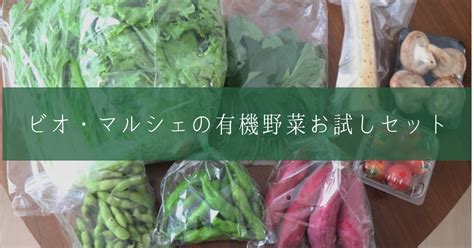 【ビオ・マルシェのお試しセットをレビュー】何が届く？野菜は新鮮？｜海と糸