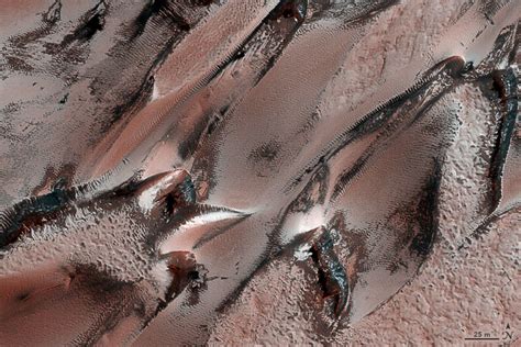 Wintry Dunes On Earth And Mars