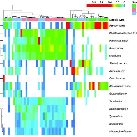 A Heat Map Showing The Major Bacterial Taxa Found In Samples Collected