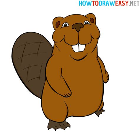 Awesome Tips About How To Draw A Cartoon Beaver - Pricelunch34