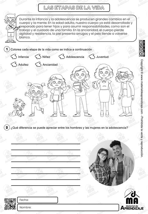 Las Etapas De La Vida 3er Grado Material De Aprendizaje