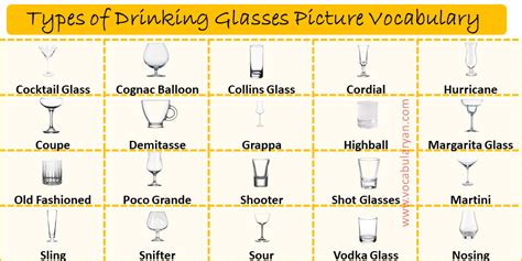 Types Of Drinking Glasses And Their Uses