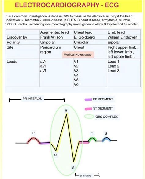 Electrocardiography Medizzy