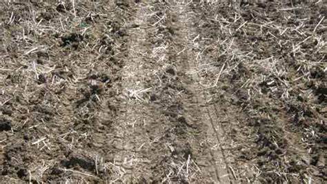 Agricultural Soil Compaction Causes And Management