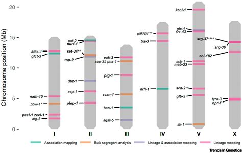 From Qtl To Gene C Elegans Facilitates Discoveries Of The Genetic