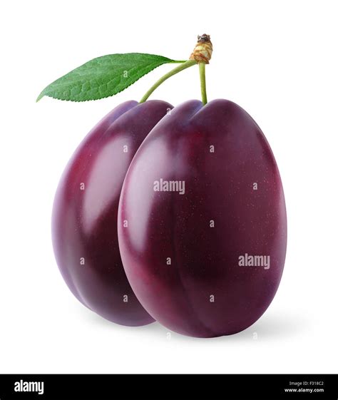 Two purple plums hi-res stock photography and images - Alamy