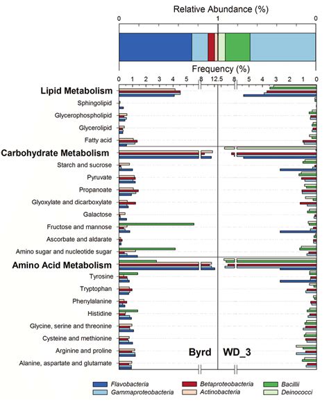 Top Relative Abundance Of S Rrna Gene Sequences Representing The