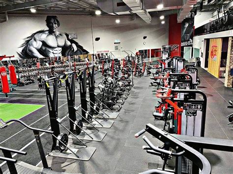 The 10 Biggest Fitness Gym In Coffs Harbour Australia Ulastempat