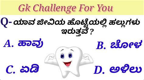 Gk In Kannada Interesting Questions In Kannada Gk Questions In