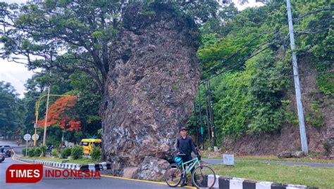 Keindahan Panorama Jalur Pantai Utara Gerbang Masuk Kota Banyuwangi ...