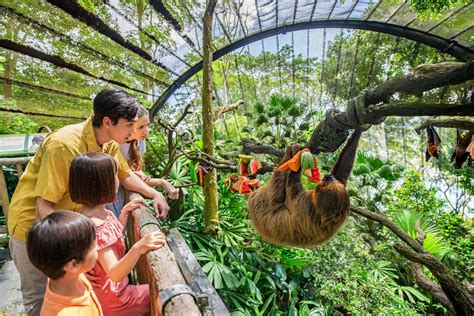 singapore zoo ticket klook singapore