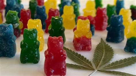 Cannabis Infused Gummy Bears Youtube