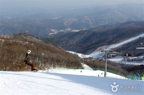 High1 Ski Resort | 하이원리조트 스키장 : TRIPPOSE