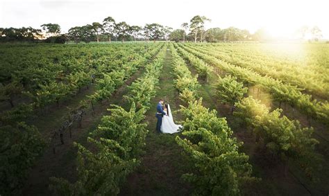 Lake Breeze Winery Wedding Charlotte And Jake Svenstudios