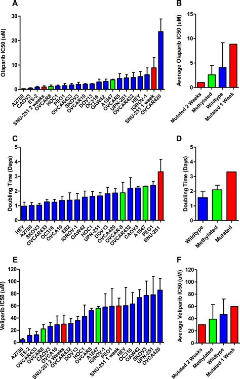 Pdf Brca Mutation Analysis In Ovarian Cell Lines Reveals