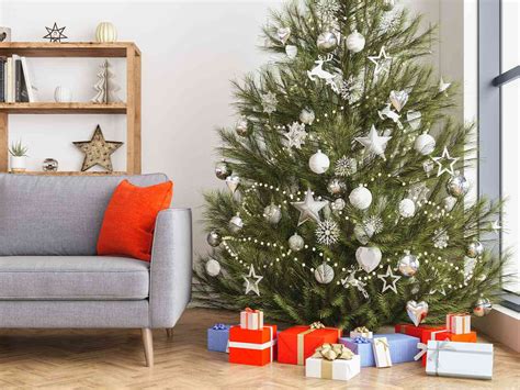 22 Types of Christmas Trees—and How to Choose the Right One