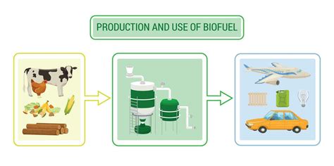 Biofuel Production Infographics 24853749 Vector Art at Vecteezy