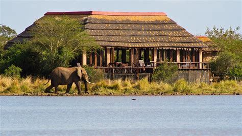 13 Best Private Game Lodges In Kruger National Park | Wildest