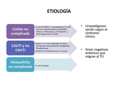 Infecciones De Vias Urinarias Y Estres Oxidativo 8