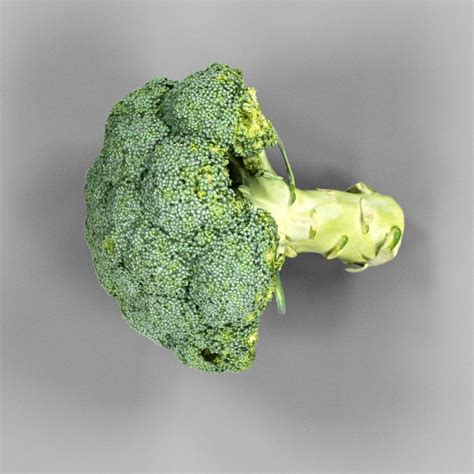 3d Model Broccoli Piece Of Vr Ar Low Poly Cgtrader