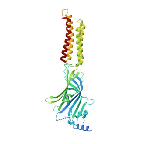 Rcsb Pdb Qne Cryo Em Structure Of Human Full Length Synaptic